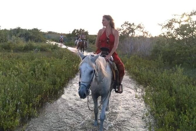 Horseback Riding on the Beaches of Holbox - Who will enjoy this Holbox horseback ride?