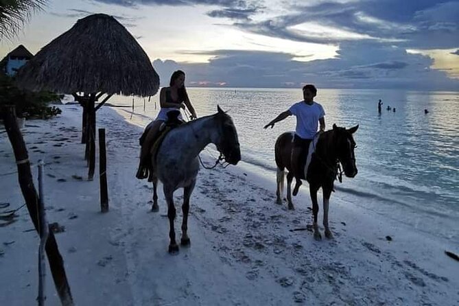 Horseback Riding on the Beaches of Holbox - Through town, jungle, and mangroves