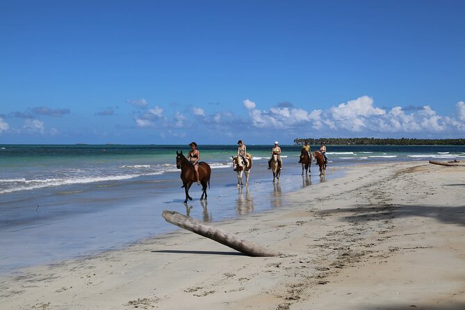 Horseback Riding on the Beaches of Punta Cana - The Ride Along the Shoreline