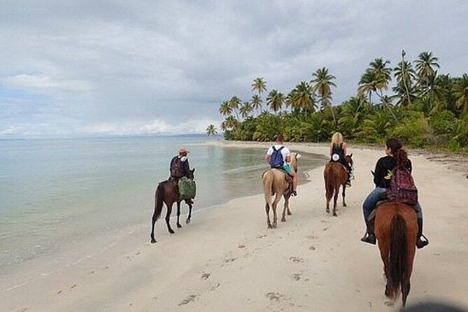Horseback Riding on the Beaches of Punta Cana - Pickup, Group Size, and Practical Planning