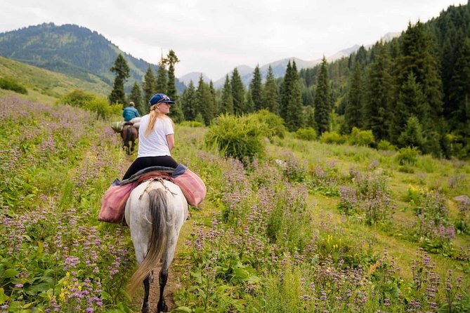 Horseback riding on the mountains of Chon Kemin National Park - Who Should Book This Experience?