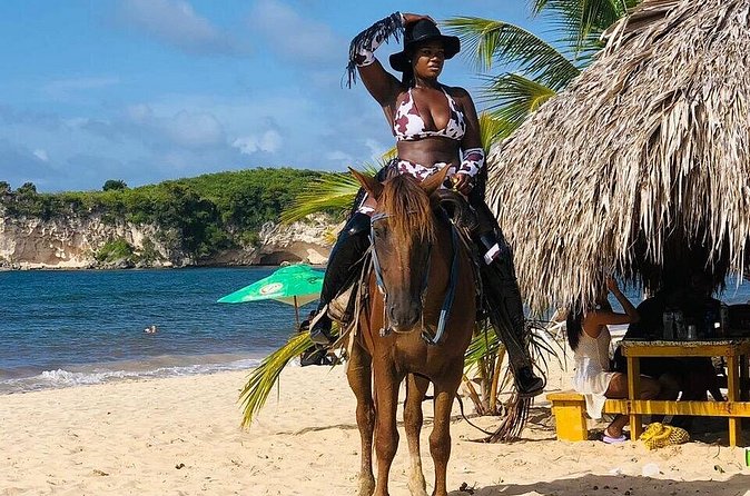 Horseback Riding on the Stunning Beaches of Punta Cana - What the $50 price really covers