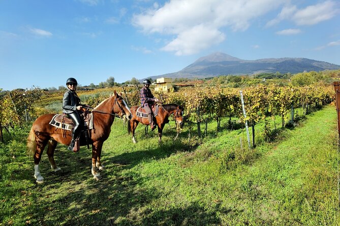 Horseback Riding on Vesuvius - What the Vesuvius ride is really like