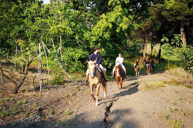 Horseback Riding on Vesuvius - Price, timing, and practical value