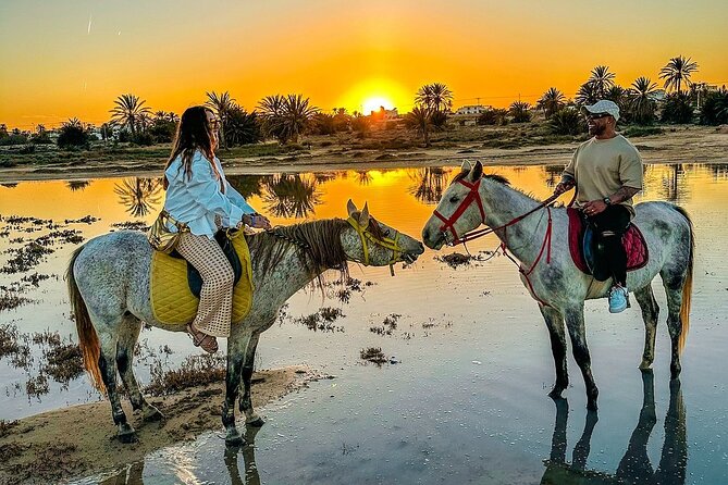 Horseback riding or camel at sunset in Djerba - Choosing Between a Horse and a Camel