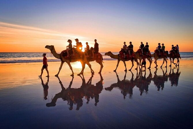 Horseback riding or camel at sunset in Djerba - Is $29.04 Good Value?