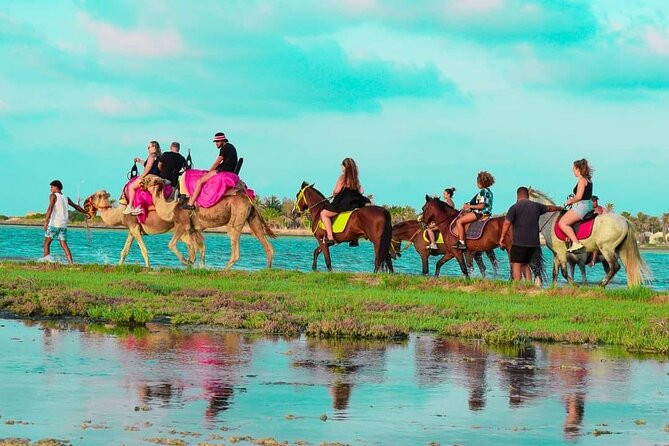 Horseback riding or camel at sunset in Djerba - Who Will Enjoy This Most?