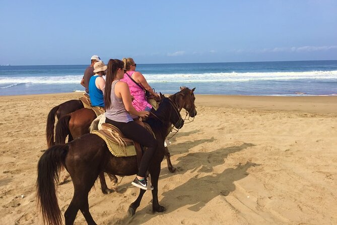 Horseback Riding Playa Larga - Key points to know before you book