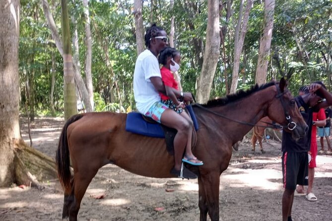 Horseback Riding plus Dunns River Falls Combo Private Tour - What the private vehicle adds