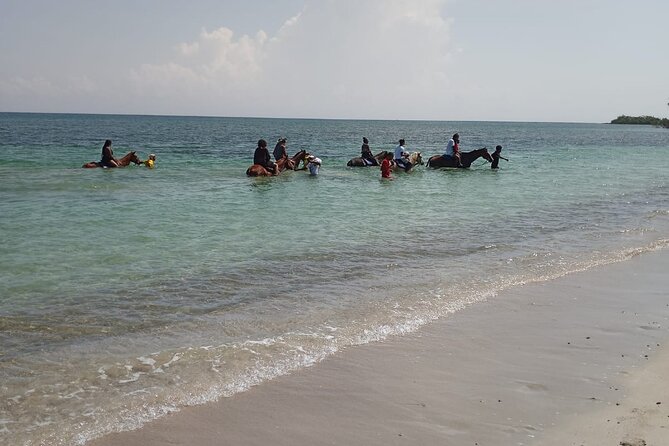 Horseback Riding plus Dunns River Falls Combo Private Tour - Is $190 a fair price?