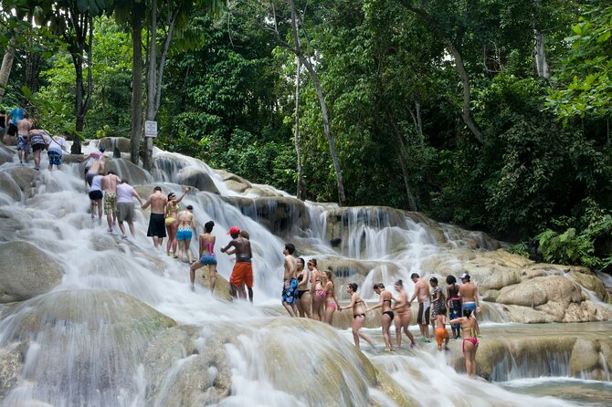 Horseback Riding plus Dunns River Falls Combo Private Tour - Who will enjoy this tour most?