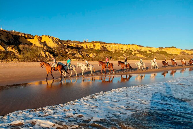 Horseback riding route through Doñana + visit to El Rocio-Private tour - Key points to know before booking