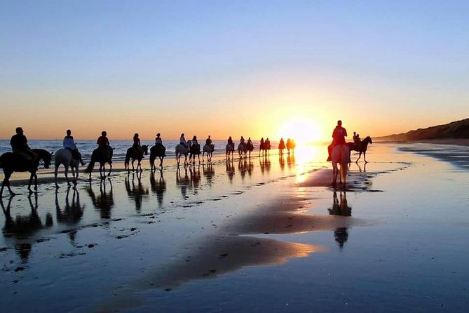 Horseback riding route through Doñana + visit to El Rocio-Private tour - Why this Doñana day trip is worth considering