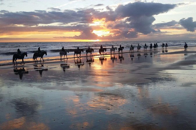 Horseback riding route through Doñana + visit to El Rocio-Private tour - Is $266.16 good value?