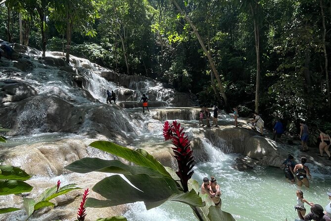 Horseback Riding/Swimming and Dunn's River from Ocho Rios - Climbing the 600-foot Dunn’s River Falls