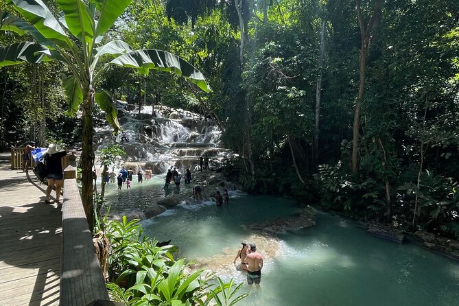 Horseback Riding/Swimming and Dunn's River from Ocho Rios - Transport from hotels, Airbnbs, and the cruise port