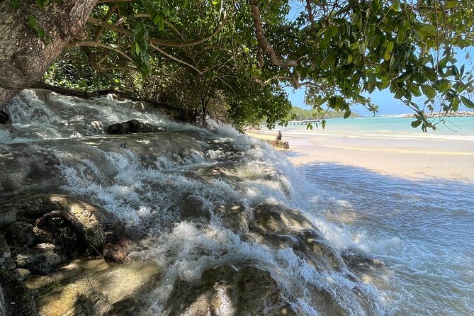 Horseback Riding/Swimming and Dunn's River from Ocho Rios - Who should book this Ocho Rios outing?
