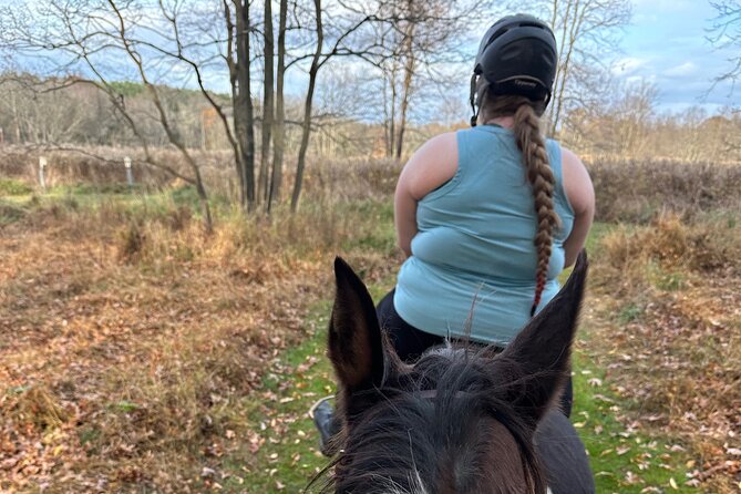 Horseback Riding Through Scenic Park in Brookeville - Key Points Before You Book