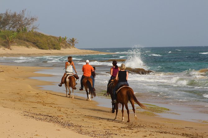 Horseback Riding through Secluded Beaches and Tropical Forests - From Rincón plans to the actual meeting point