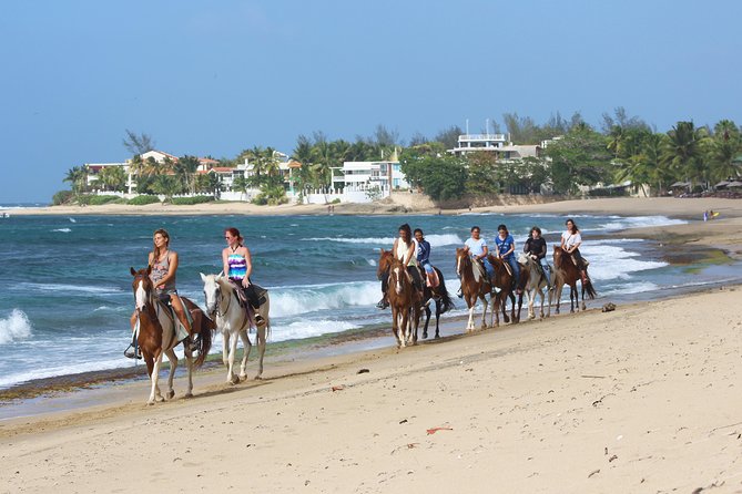 Horseback Riding through Secluded Beaches and Tropical Forests - Tropical forest trails add the best variety