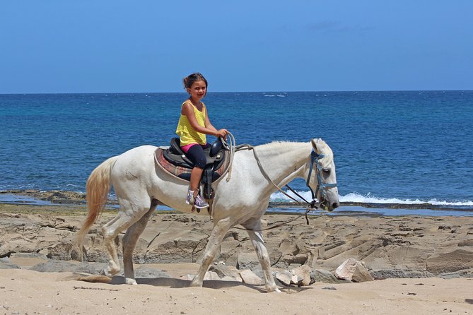 Horseback Riding through Secluded Beaches and Tropical Forests - Survival Beach brings the main pause