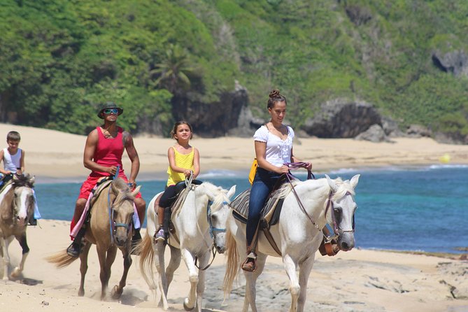 Horseback Riding through Secluded Beaches and Tropical Forests - What the pace feels like in practice