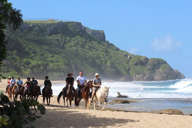 Horseback Riding through Secluded Beaches and Tropical Forests - Cost, timing, and the value of two hours