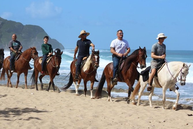 Horseback Riding through Secluded Beaches and Tropical Forests - Who should book this ride