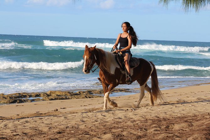 Horseback Riding through Secluded Beaches and Tropical Forests - Shacks Beach begins the coastal section
