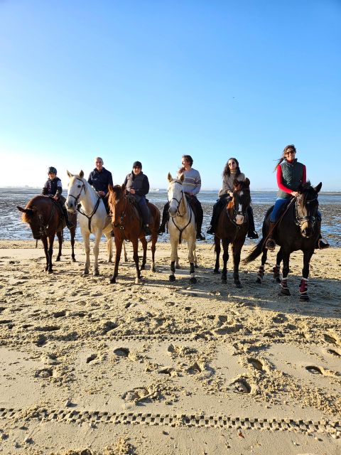 Horseback Riding Through The Beach GROUP - PDT - Should you book the group ride?