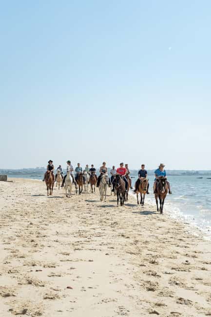 Horseback Riding Through The Beach GROUP - PDT - Meeting the horses at Patio do Tejo