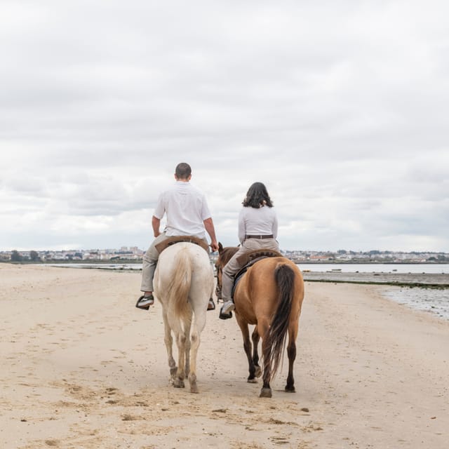 Horseback Riding Through The Beach GROUP - PDT - Why the tide controls the schedule