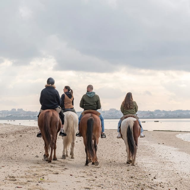 Horseback Riding Through The Beach GROUP - PDT - A steady group pace from one to ten riders
