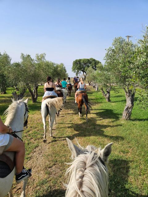 Horseback Riding Through The Beach GROUP - PDT - What $135 buys you