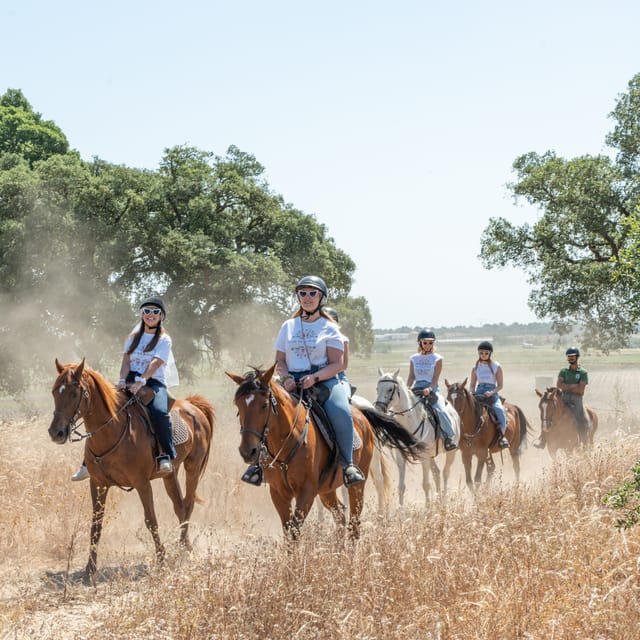Horseback Riding Through The Beach GROUP - PDT - Who will enjoy this beach ride most