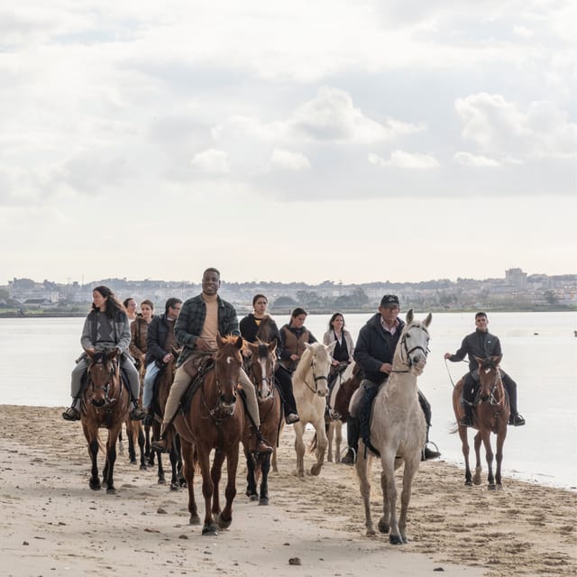Horseback Riding Through The Beach GROUP - PDT - Practical details that affect your plans