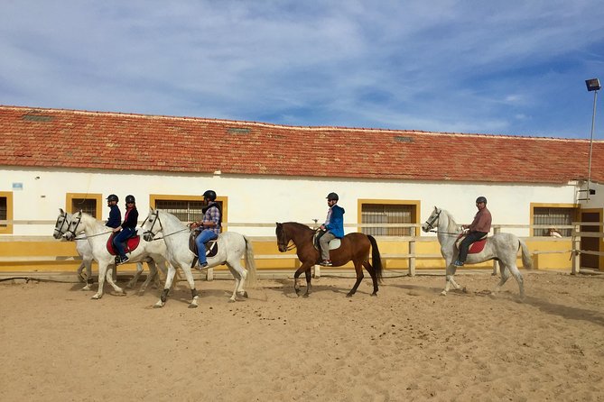 Horseback riding through the Calblanque Natural Park - Key points to know before you book