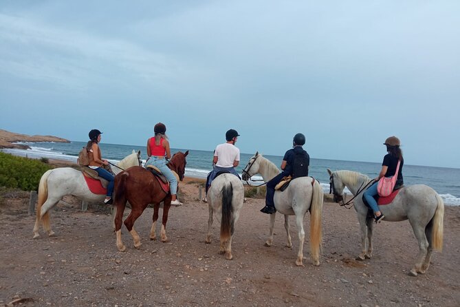 Horseback riding through the Calblanque Natural Park - Learning the basics before you mount