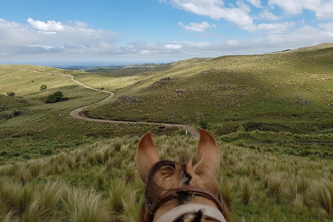 Horseback riding through the Sierras - An hour beside the Chavascate stream