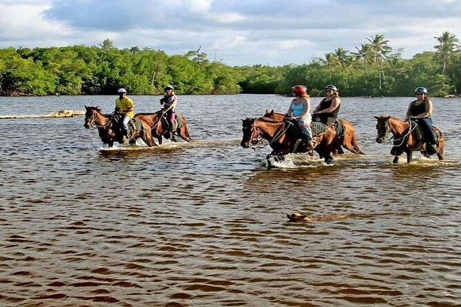Horseback Riding to Maimon River from Punta Cana - Key points at a glance