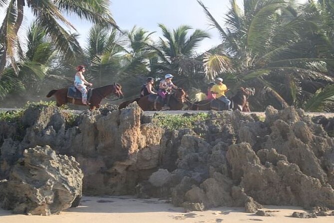 Horseback Riding to Maimon River from Punta Cana - Leaving the resort zone for the Dominican countryside