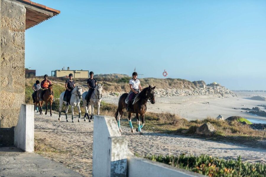 Horseback Riding Tour - Should you book the PortugalActive horseback tour?