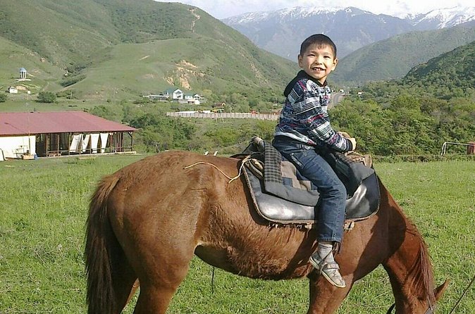 Horseback Riding Tour - Horses, equipment, and comfort