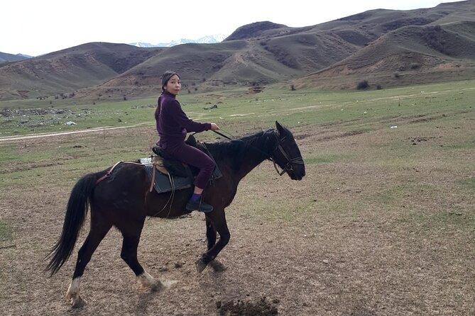 Horseback Riding Tour - Practical planning for the meeting point