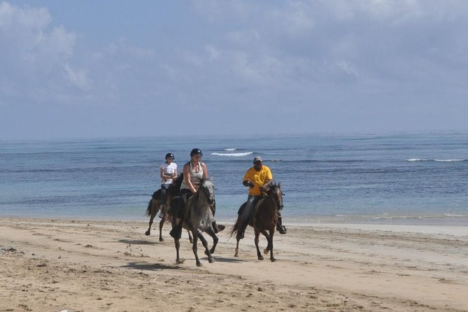 Horseback Riding Tour Adventure on the Beach - Following the coast to Boca de Maimon