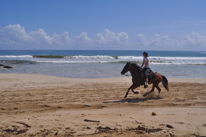 Horseback Riding Tour Adventure on the Beach - The inland trails deserve a warning