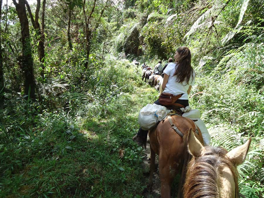 Horseback Riding Tour and visit to Tablón, Chaquira, Pelota - La Chaquira: statues with a view