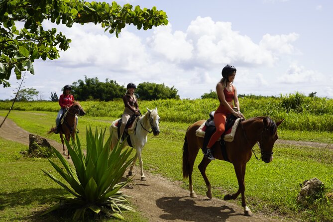 Horseback Riding Tour at Private Ranch - Key points to know before you ride