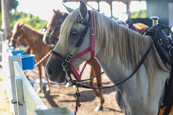 Horseback Riding Tour at Private Ranch - Two hours along the ranch trails