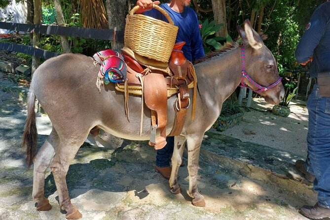 Horseback Riding Tour at Rancho Bonanza and Cenote Swim - Photos and the gift shop